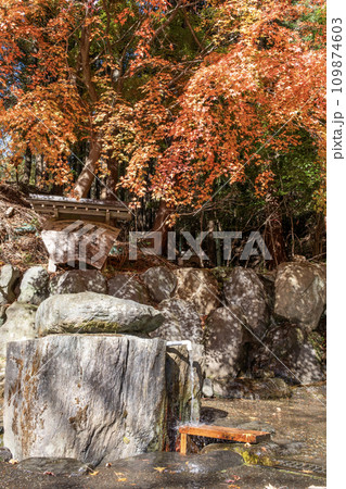 秦野名水 葛葉の泉 秋景 秦野名水 葛葉の泉 秋景 109874603