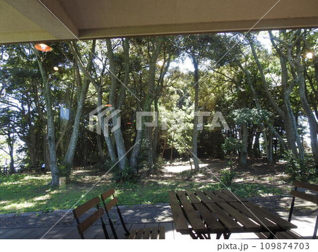 テラス席　テラス　森林の中　森林　森の中 109874703