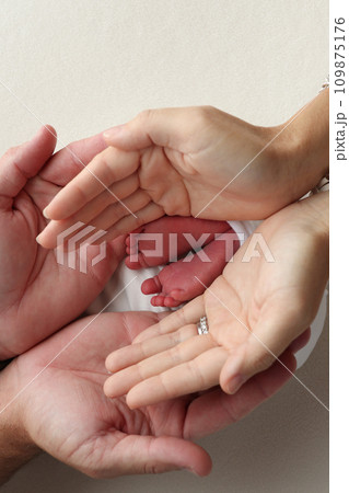 The palms of the parents, father and mother hold the legs, feet of a newborn baby in a white wrapper on a white background. Feet, heels and toes of a newborn child close -up. Professional macro photo. The palms of the parents, father and mother hold the legs, feet of a newborn baby in a white wrapper on a white background. Feet, heels and toes of a newborn child close -up. Professional macro photo. 109875176