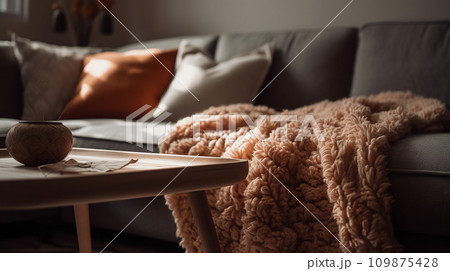 ソファのある温かみのある部屋 ソファのある温かみのある部屋 109875428