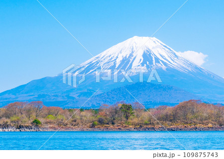 富士山(春・精進湖より) 富士山(春・精進湖より) 109875743