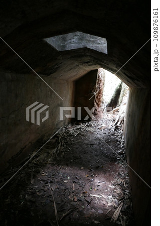 World War 2 relics at Chichi jima Bonin island, Ogasawara. 109876161