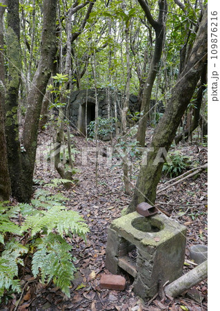 World War 2 relics at Chichi jima Bonin island, Ogasawara. 109876216