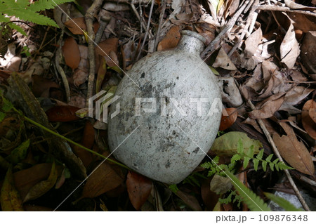 World War 2 relics at Chichi jima Bonin island, Ogasawara. 109876348
