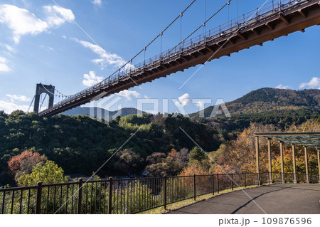 都心から車で1時間 秦野戸川公園の風の吊り橋 秋景 都心から車で1時間 秦野戸川公園の風の吊り橋 秋景 109876596