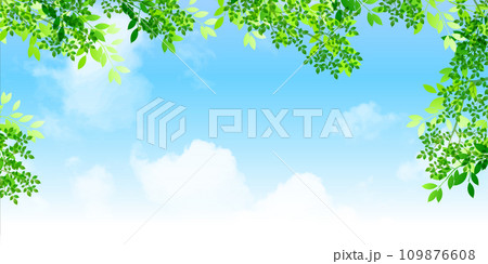 新緑　葉　風景　背景	 109876608