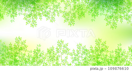 新緑　葉　風景　背景	 109876610