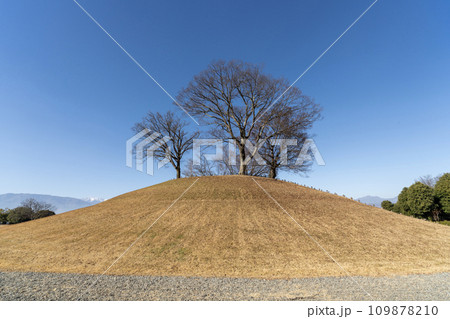 山梨県曽根丘陵公園 秋景 山梨県曽根丘陵公園 秋景 109878210
