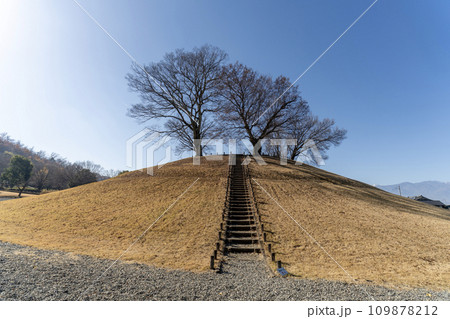 山梨県曽根丘陵公園 秋景 山梨県曽根丘陵公園 秋景 109878212