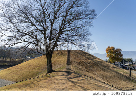 山梨県曽根丘陵公園　秋景 109878218