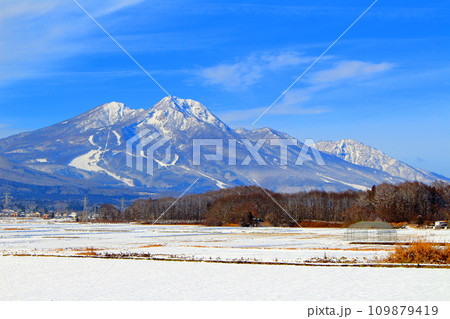 12月の北信五岳  信州の山々 12月の北信五岳  信州の山々 109879419