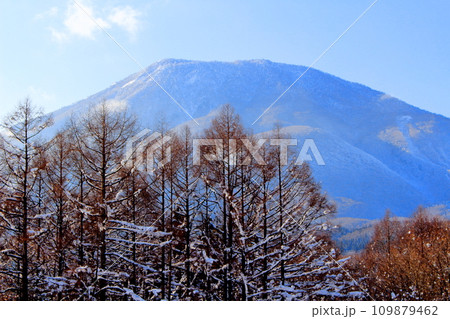 12月の北信五岳  信州の山々 12月の北信五岳  信州の山々 109879462