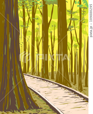 Bottomland Hardwood Forest in Congaree National Park South Carolina WPA Poster Art Bottomland Hardwood Forest in Congaree National Park South Carolina WPA Poster Art 109880295