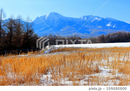 2月の八ヶ岳　　　信州の山々 109880800