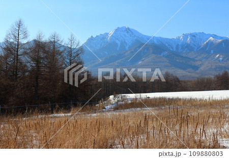 2月の八ヶ岳 信州の山々 2月の八ヶ岳 信州の山々 109880803