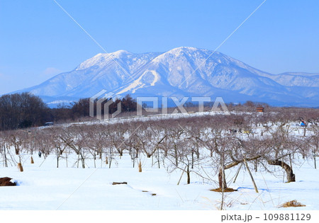 3月の北信五岳　　　信州の山々　　　冠雪の北信五岳 109881129