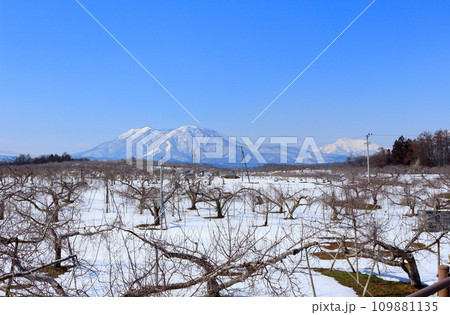 3月の北信五岳　　　信州の山々　　　冠雪の北信五岳 109881135