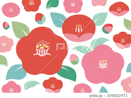 冬の風物詩、椿の背景素材 109882471