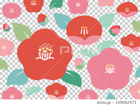 冬の風物詩、椿の背景素材 109882471