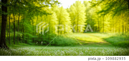 Spring. Forest and Beautiful meadow field with fresh grass in nature Summer spring perfect natural landscape. Spring. Forest and Beautiful meadow field with fresh grass in nature Summer spring perfect natural landscape. 109882935