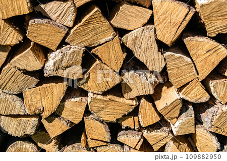 Photography on theme big wall of stacked oak tree logs in cracks Photography on theme big wall of stacked oak tree logs in cracks 109882950