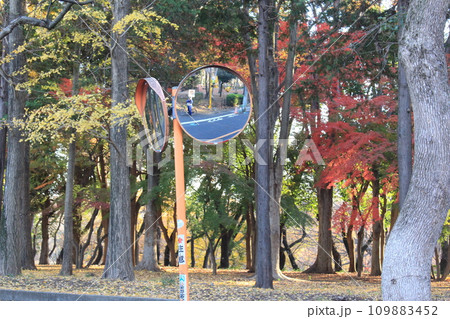 砧公園を歩いた 砧公園を歩いた 109883452