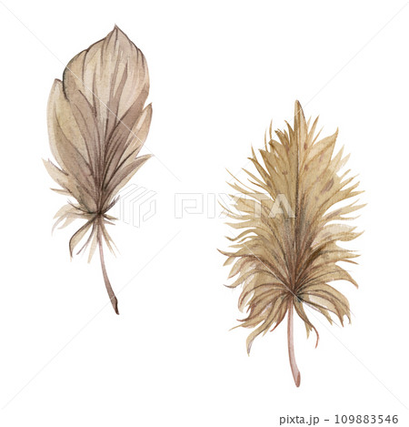 Hand drawn watercolor bird feather plume quill boho tribal ethnic indian beige. Single object isolated on white background. Design for charm, amulet, dreamcatcher, scrapbooking, handmade craft, tattoo 109883546