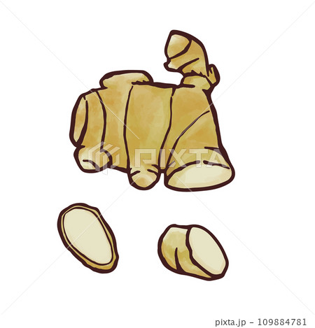 イラスト素材　生姜　生薬　薬味　 109884781
