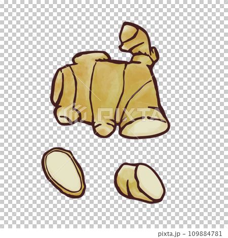 イラスト素材　生姜　生薬　薬味　 109884781