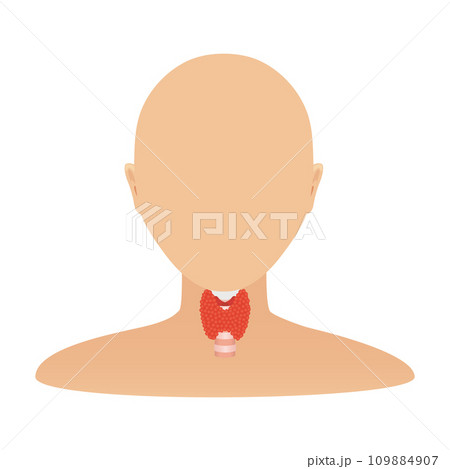 Thyroid gland organ on body silhouette icon 109884907