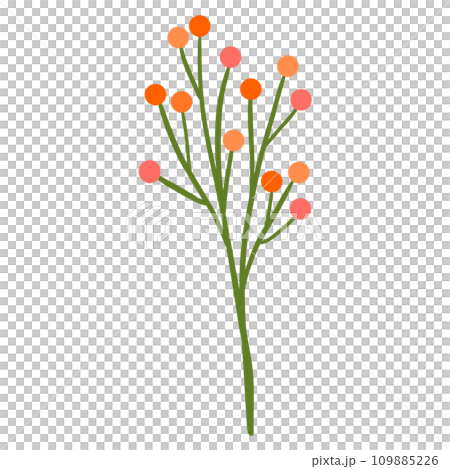 orange flower blossom - Stock Illustration [109885226] - PIXTA