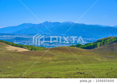 春の霧ヶ峰高原(富士見台)から南側(南アルプス,芽野市街など)の眺望 109885600