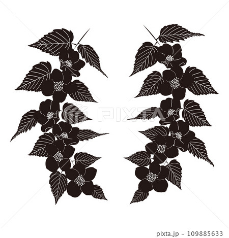 やまぶきの花輪 やまぶきの花輪 109885633