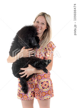 standard poodle and woman 109886474