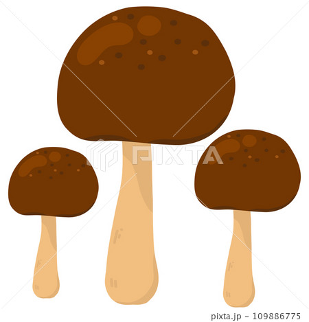 Set of mushrooms illustration Set of mushrooms illustration 109886775