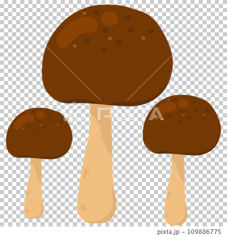 Set of mushrooms illustration Set of mushrooms illustration 109886775