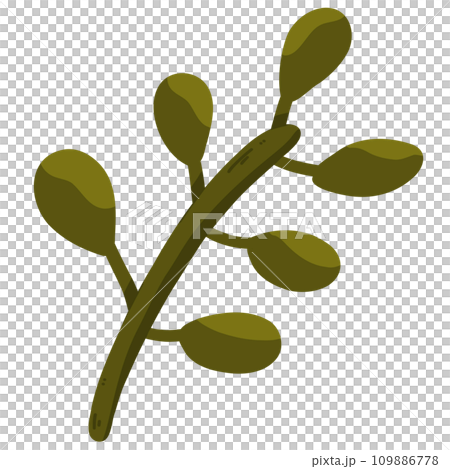 Illustration of a leaf Illustration of a leaf 109886778