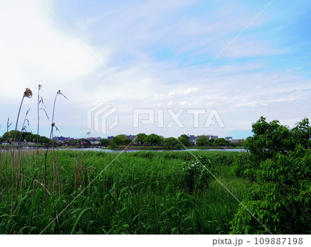 水前寺江津湖公園(熊本県熊本市) 109887198