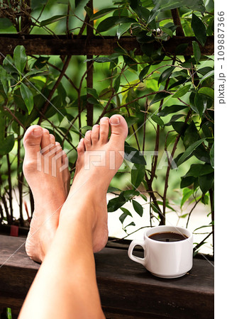 Good morning with coffee cup on the cozy greenery terrace. Good morning with coffee cup on the cozy greenery terrace. 109887366