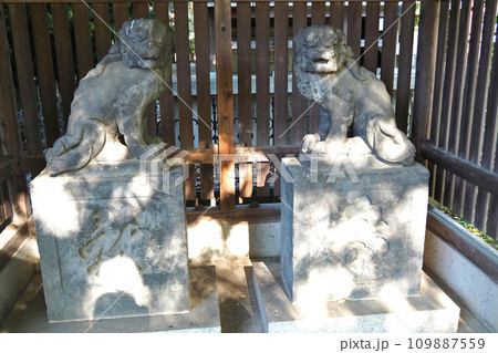 川口神社の旧狛犬【埼玉県川口市】 川口神社の旧狛犬【埼玉県川口市】 109887559