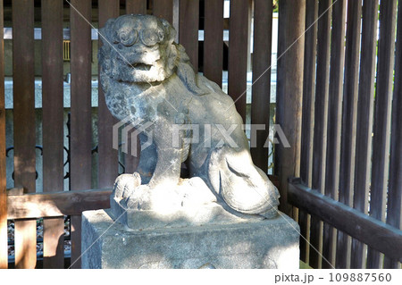 川口神社の旧狛犬【埼玉県川口市】 109887560