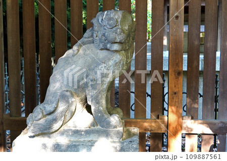 川口神社の旧狛犬【埼玉県川口市】 109887561