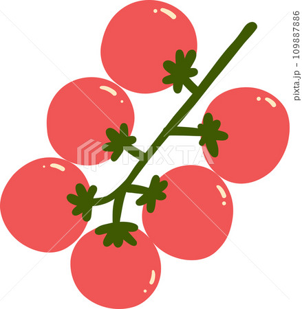 Red cherry tomatoes branch illustration 109887886