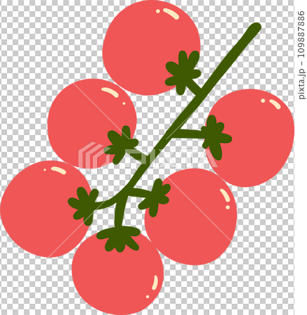 Red cherry tomatoes branch illustration 109887886