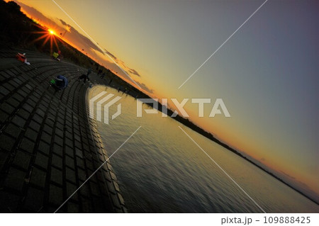 渡良瀬遊水地に落ちる夕陽 109888425