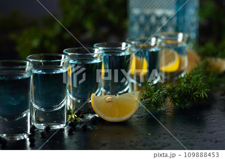 Gin with juniper berries and lemon slices. 109888453