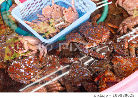 函館朝市・カニ販売 109889028