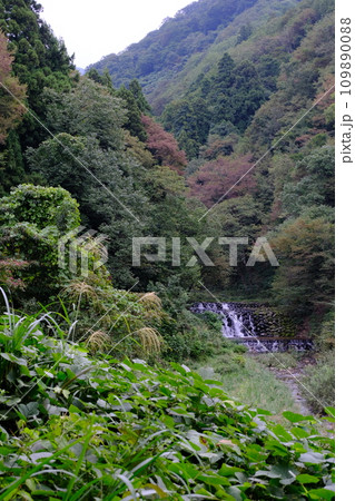 初秋の山奥にある砂防堰堤 初秋の山奥にある砂防堰堤 109890088