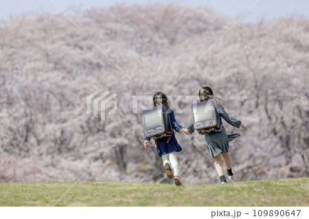 桜の咲く公園を走る一年生たちの後ろ姿 桜の咲く公園を走る一年生たちの後ろ姿 109890647