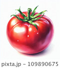 みずみずしいトマト 109890675